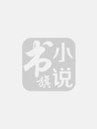 大明王朝1566下载