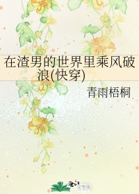 乐可by金银花露完整版