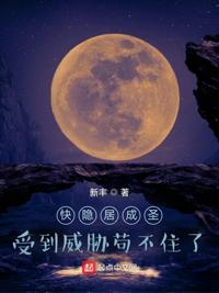 昨夜星辰昨夜梦小说全文免费阅读