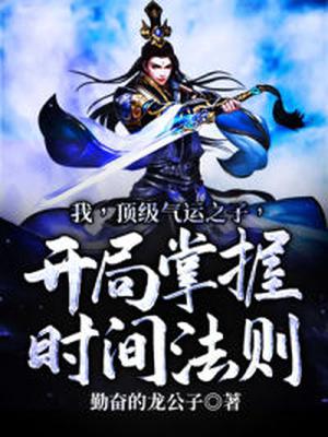 全职法师h文